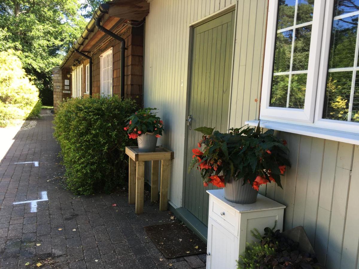 Petherton Cottage Studios リングウッド エクステリア 写真
