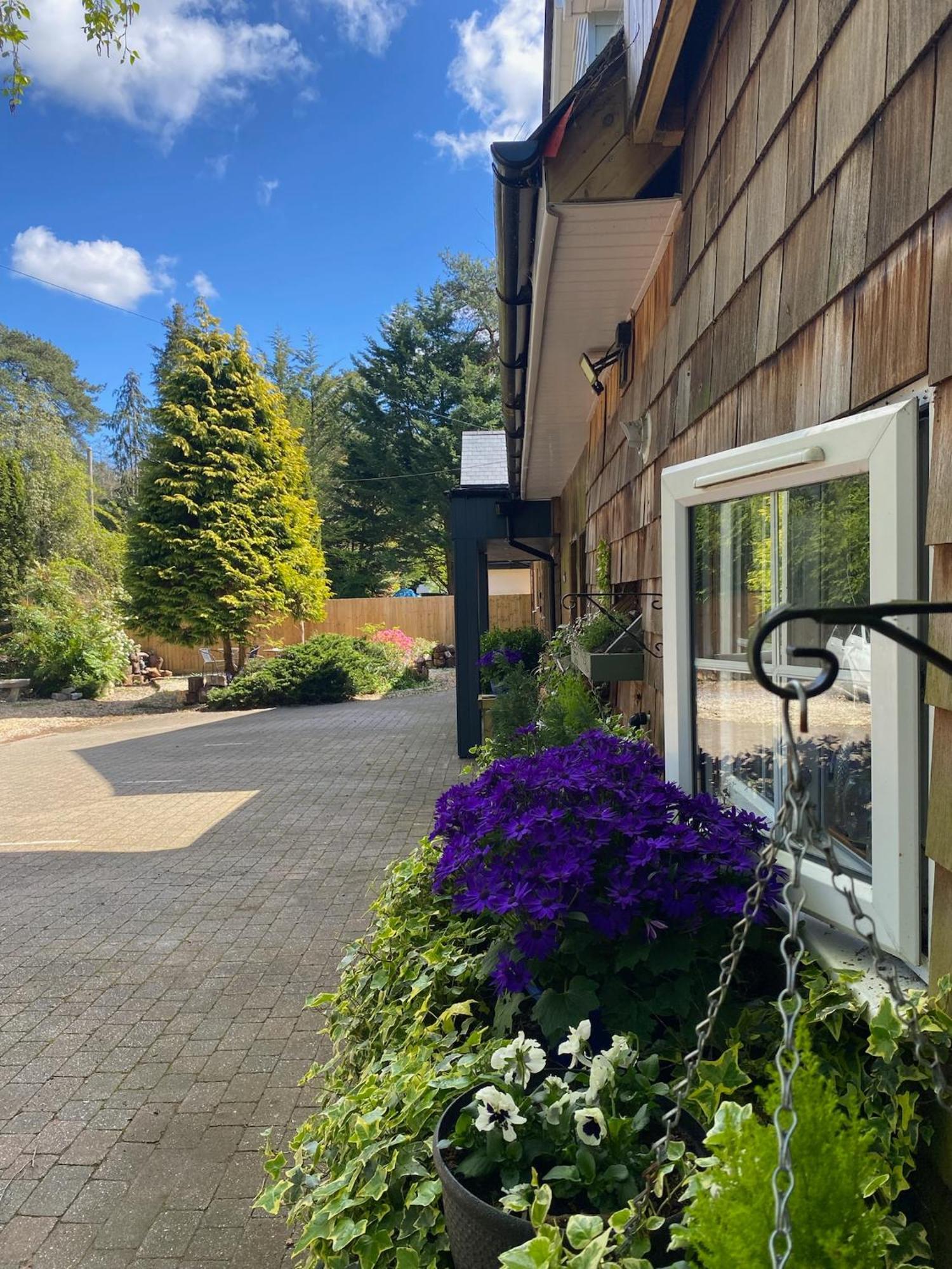 Petherton Cottage Studios リングウッド エクステリア 写真