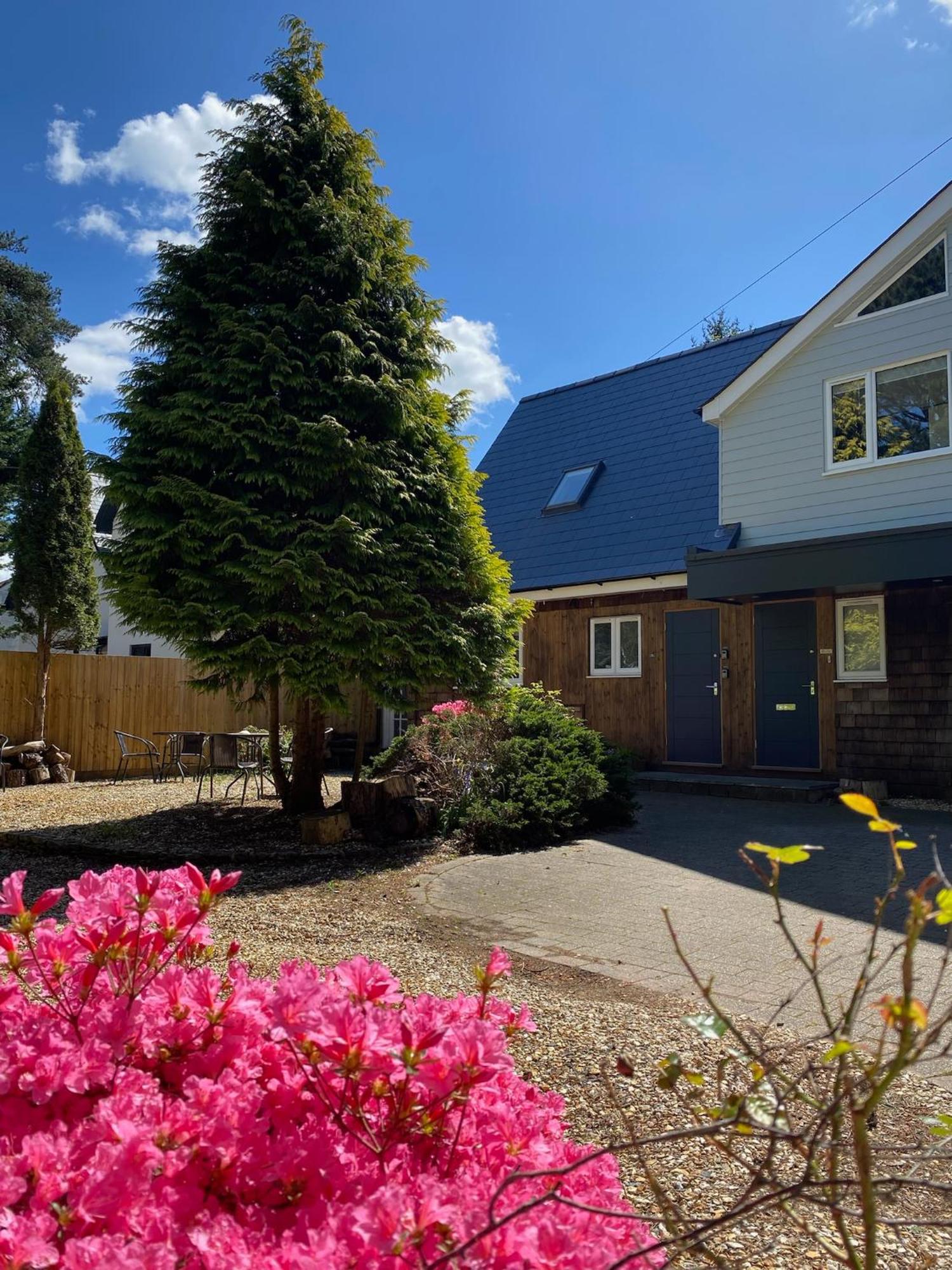 Petherton Cottage Studios リングウッド エクステリア 写真